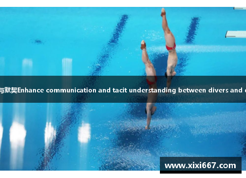 杨芸晶：跳水潜水运动员的默契与默契Enhance communication and tacit understanding between divers and diving partners under water.
